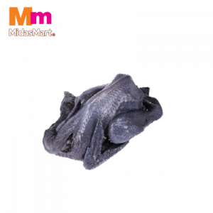 AYAM HITAM (FROZEN) 1X1 EKOR