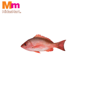 FRESH IKAN MERAH (RED SNAPPER) (400G-500G)