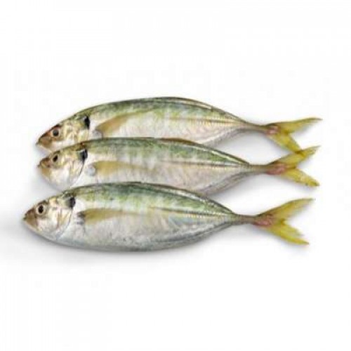 IKAN SELAR FRESH 1X1 PACK (500G)