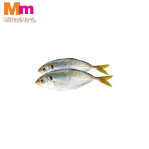 FRESH IKAN SELAR (YELLOWTAIL SCAD) (500G)