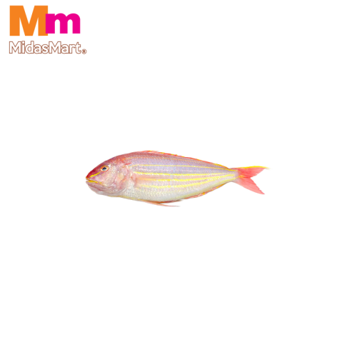 FRESH IKAN KERISI (THREADFIN BREAM) (500G)