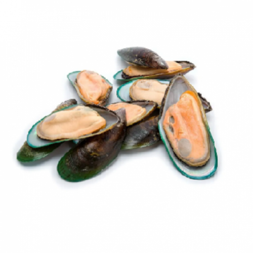 FRESH MUSSEL (KUPANG) 1X1 PACK (500G)