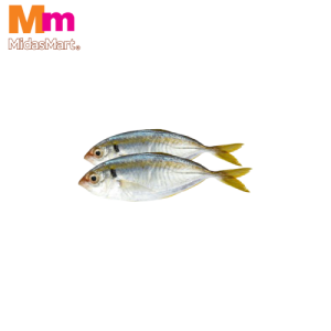 FRESH IKAN SELAR KUNING (YELLOWSTRIPE SCAD) (500G)