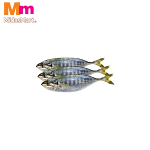 FRESH IKAN SELAR KUNING (YELLOWSTRIPE SCAD) (500G)
