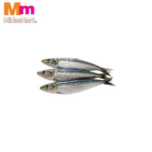 FRESH IKAN SARDIN (SARDINES) (500G)