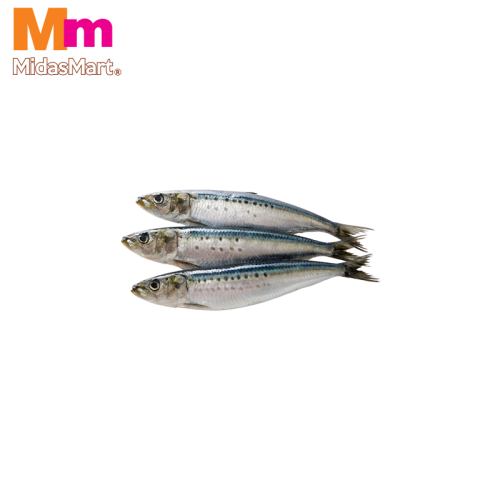 FRESH IKAN SARDIN (SARDINES) (500G)