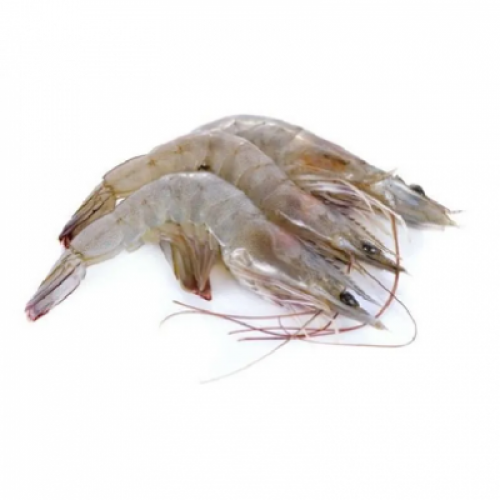 FRESH PRAWN 60/70 1X1PACK (500G)