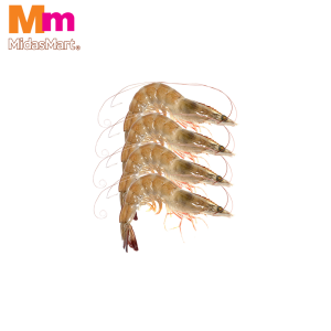 FRESH PRAWNS (60/70 SIZE) (500G)