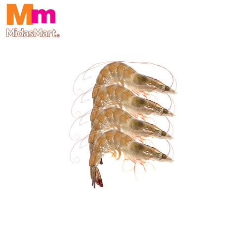 FRESH PRAWNS (60/70 SIZE) (500G)