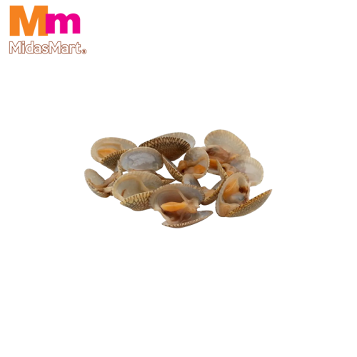 FRESH LALA (CLAMS) (1KG)