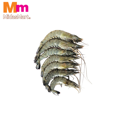 FRESH TIGER PRAWNS (UDANG TIGER) (500G)