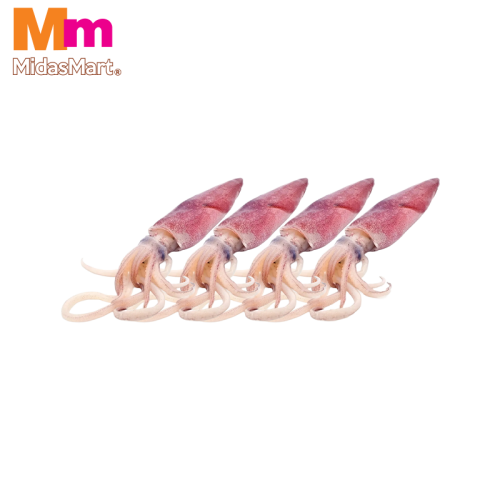 FRESH SQUID SIZE B (SOTONG) (500G)