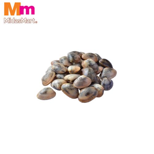 FRESH KEPAH (CLAMS) (500G)