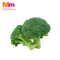 BROCCOLI - AAA GRADE (1PC)