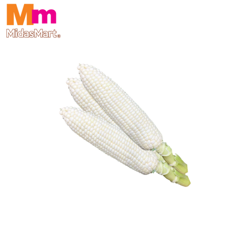 JAGUNG SUSU PUTIH CAMERON / CAMERON HIGHLANDS WHITE MILK CORN (1PC)