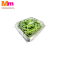 CRYSTALLINE ICEPLANT (100G+/-)
