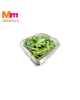 CRYSTALLINE ICEPLANT (100G+/-)