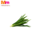 DAUN PANDAN KAMPUNG - SHORT (1KG)