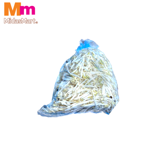 TAUGEH / FRESH BEAN SPROUTS (1KG)