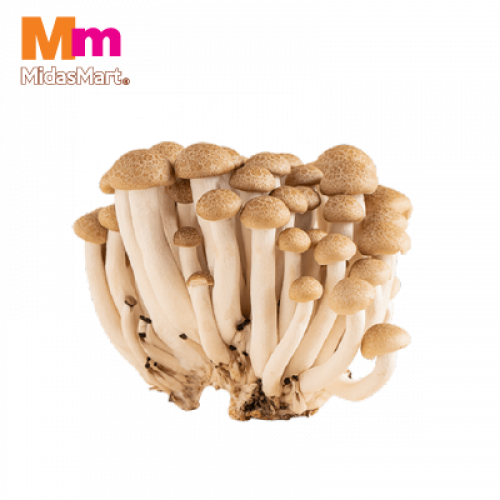 *CENDAWAN KETAM 1X150G+/-
