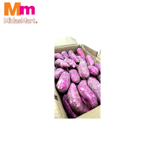 KELEDEK KUNING JEPUN / JAPANESE YELLOW SWEET POTATO (5KG+/-)