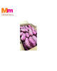 KELEDEK KUNING JEPUN / JAPANESE YELLOW SWEET POTATO (5KG+/-)