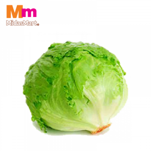 *SALAD BULAT 1X500G±