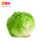 ICEBERG LETTUCE (500G +/-)