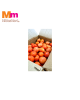 TOMATO 'L' (CAMERON HIGHLANDS) (10KG+/-)