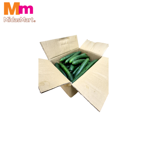 TIMUN JEPUN CAMERON / CAMERON JAPANESE CUCUMBER (10KG+/-)