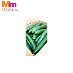 TIMUN JEPUN CAMERON / CAMERON JAPANESE CUCUMBER (10KG+/-)
