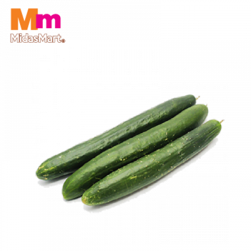 *TIMUN JEPUN 1X500G±