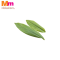 DAUN KUNYIT KAMPUNG (1KG)