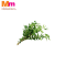 DAUN KARI KAMPUNG (1KG)