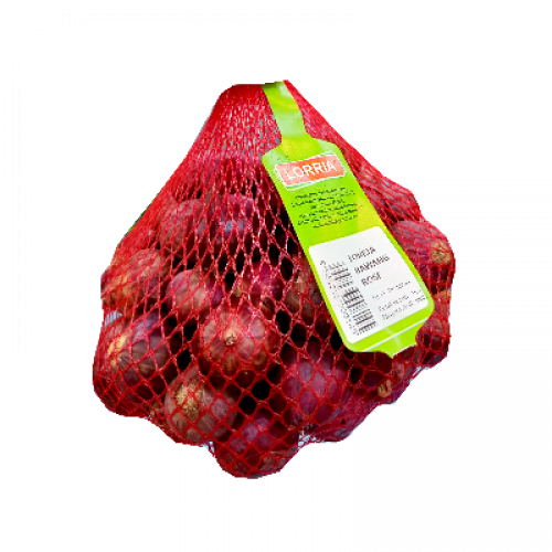 LORRIA BAWANG ROSE 1X1KG+/-