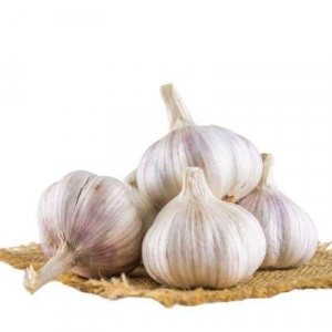 BAWANG PUTIH TUA CHINA (528) 1X1KG