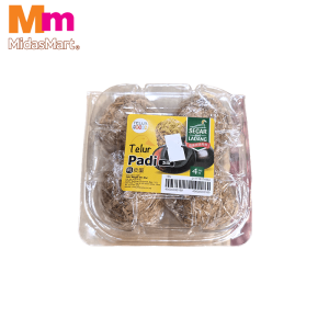 PREMIUM DUCK CENTURY EGGS (4S)