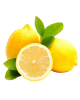 LEMON 1x1PC