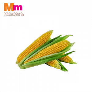 JAGUNG MANIS* 1x2PCS