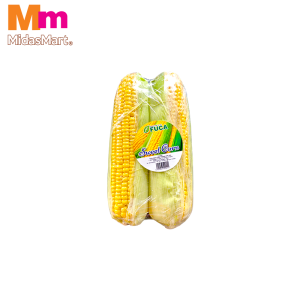 JAGUNG MANIS / FRESH SWEET CORN (2PCS)