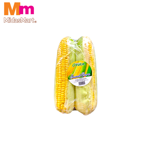 JAGUNG MANIS / FRESH SWEET CORN (2PCS)