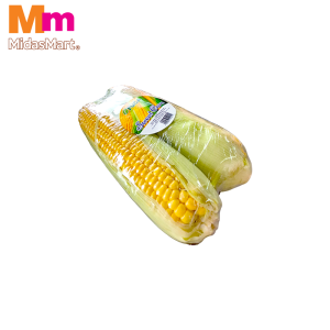 JAGUNG MANIS / FRESH SWEET CORN (2PCS)